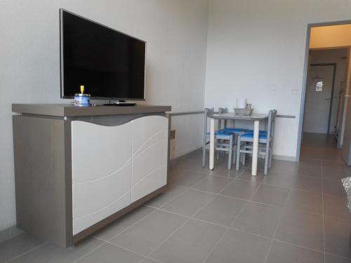 Appartement Villeneuve-Loubet, 1 pièce, 4 personnes - FR-1-252A-29