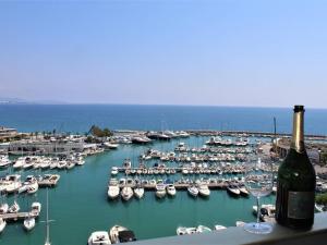 Appartement Villeneuve-Loubet, 1 pièce, 4 personnes - FR-1-252A-89