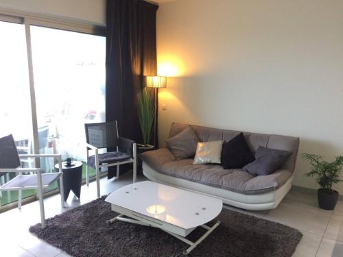 Appartement Villeneuve-Loubet, 2 pièces, 4 personnes - FR-1-252A-28
