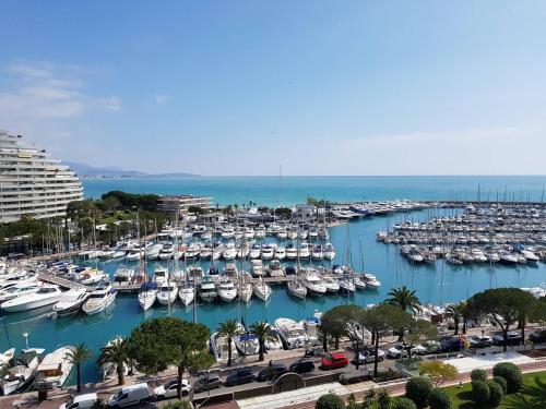 Appartement Villeneuve-Loubet, 2 pièces, 4 personnes - FR-1-252A-34