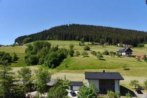Appartement Vogelkoje Nummer 35