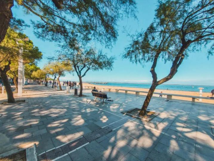 Appartement vue bassin 2 chambres 368 Boulevard de la Plage, 33120 Arcachon