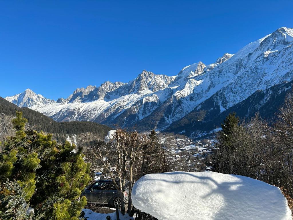 Appartement Appartement vue exceptionnelle et jardin 10 Chemin de Charousse 74310 Les Houches