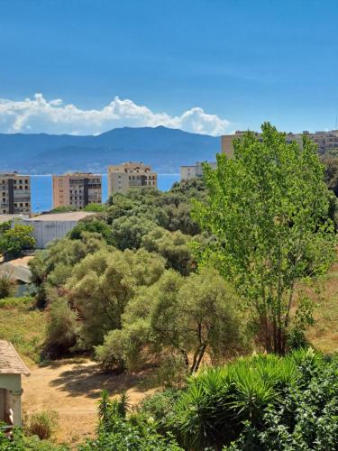 appartement vue mer avec parking