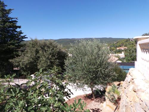 Appartement Vue Montagne