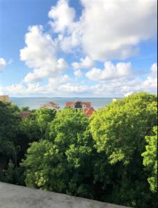 Appartement vue sur baie et océan, 100 m de la plage et du centre par chemin privé