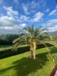 Appartement vue sur la Rhune