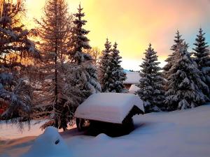 APPARTEMENT VUE SUR LES PISTES Aux SAISIES 4