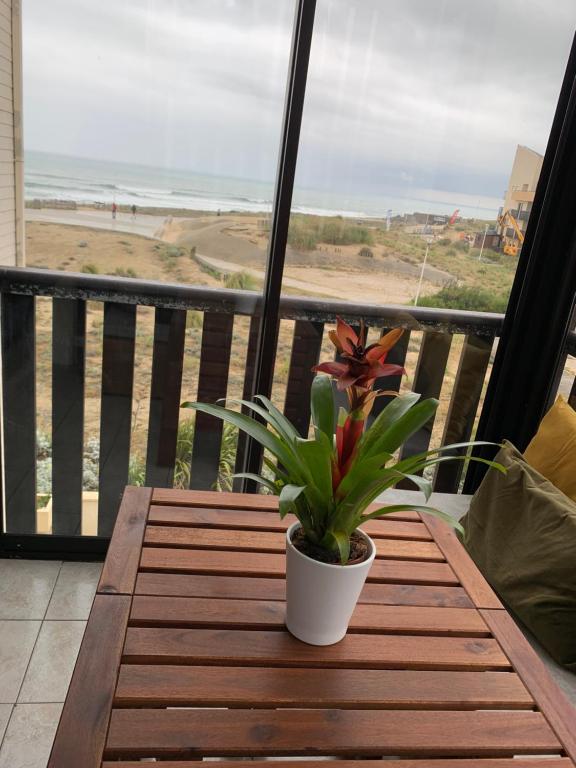 Appartement vue sur mer, 30m de la plage 49 bat B résidence les terrasses de l'atlantique Allée des Terrasses, 33680 Lacanau-Océan