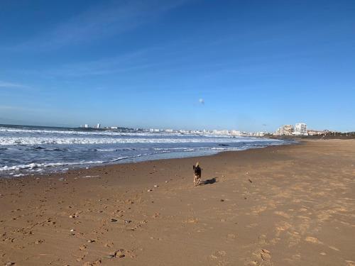 Appartement vue sur mer