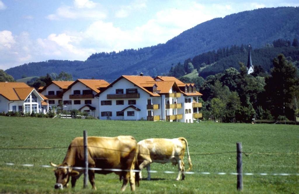 Appartement Appartements Alpenresidenz Unteres Ösch 87480 Weitnau