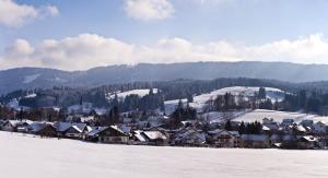 Appartement Appartements Alpenresidenz Unteres Ösch 87480 Weitnau Bavière