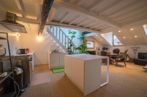 Appartements atypiques centre ville Annecy