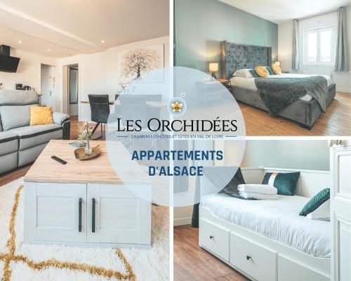 Appartements Les Orchidées D'Alsace SAUMUR