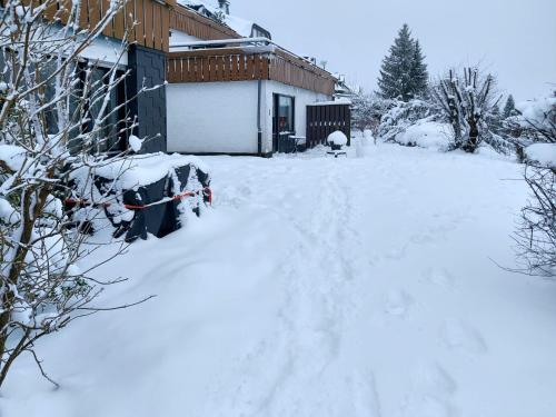 Appartment Fernweh near the centre of Winterberg