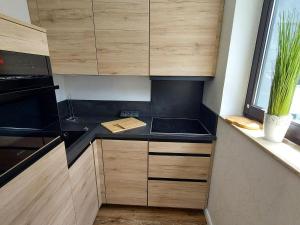 Appartment Fernweh near the centre of Winterberg
