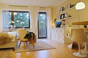 Appartement Appartment Indira 82 Im Wesentlich 55566 Bad Sobernheim Rhénanie-Palatinat