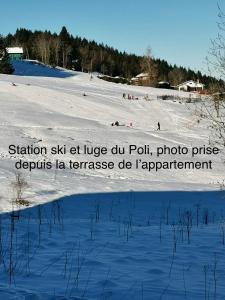 APPT 3* LE HAUT DES LACS