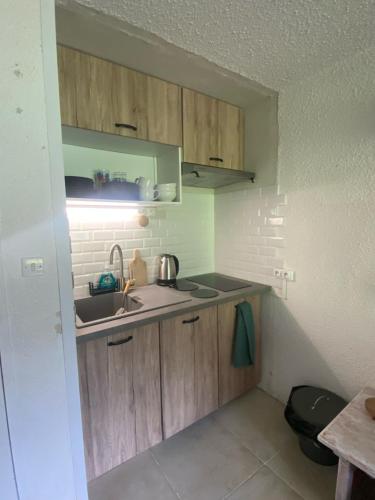 Appt chaleureux 2 - 4 personnes au pied des pistes - draps et linges de toilette non fournis