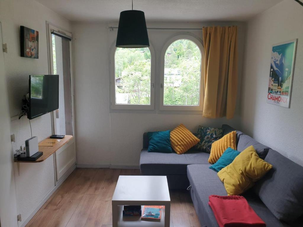 Appartement Appt cosy au centre de Chamonix 131 Promenade Marie Paradis 74400 Chamonix-Mont-Blanc