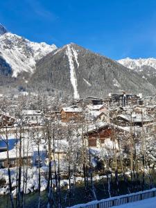 Appartement Appt cosy au centre de Chamonix 131 Promenade Marie Paradis 74400 Chamonix-Mont-Blanc Rhône-Alpes