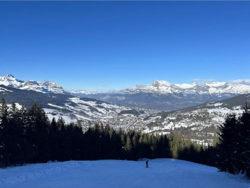 Appt de 30m2 - 4 personnes à 500m des pistes de Megève Parking - Wifi - Casier N5 Megeve