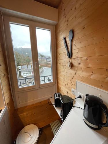Appt lumineux centre ville du Mont Dore Vue Sancy