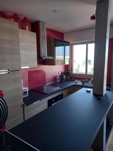 APPT T2 AVEC VUE EXCEPTIONNELLE SUR LE BASSIN D'ARCACHON