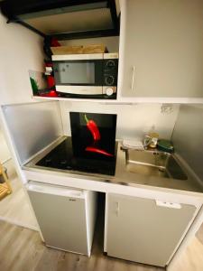 Apt 204, Vue Mer, Accès plage Trestraou, Perros-Guirec