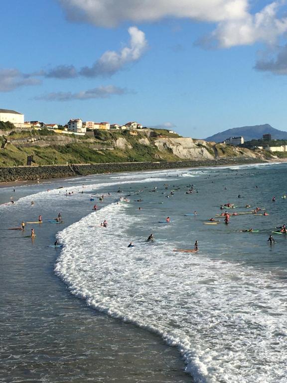 Apt-400m plage de Biarritz dans quartier résidentiel tous commerces très calme et tout confort 22 Rue Albert 1er, 64200 Biarritz