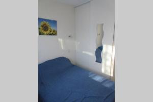 Apt Climatisé T3 Saint Pierre La Mer, terrasse, jardin et parking privé