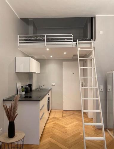 Appartement APT im Herzen von Wiesbaden 5 Wallufer Straße 65197 Wiesbaden Hesse