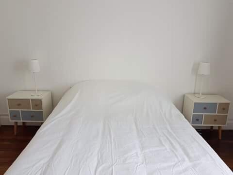 Apt spacieux proche Lyon Guillotte