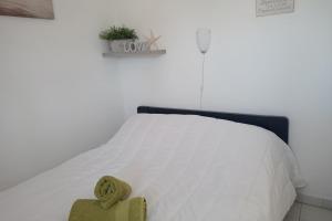 Apt With Loggia At 200 M From The Beach Of Vias