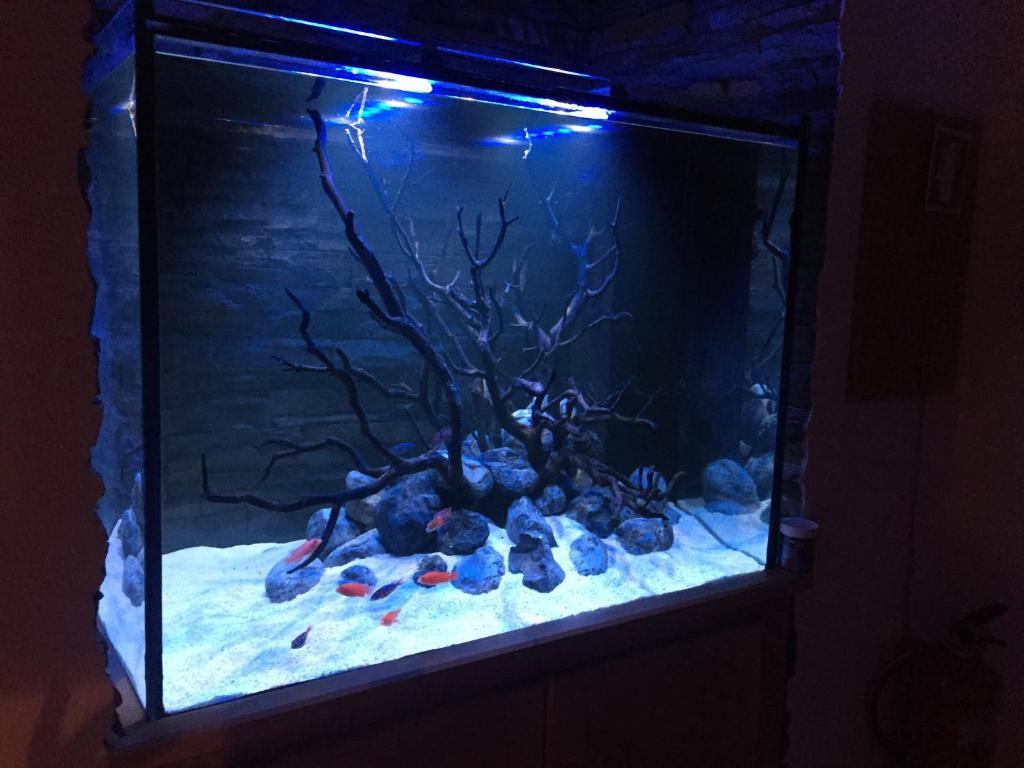 Aquarium House Rua mareantes de Sesimbra, bloco 2, 2970-771 Sesimbra