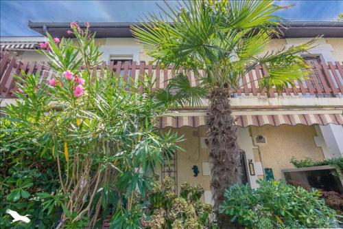 Arcachon appartement en centre-ville plage à pied