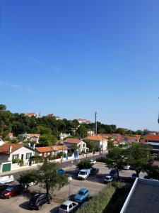 ARCACHON MARINE