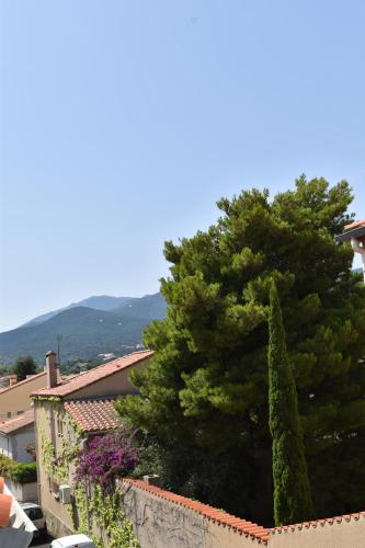 Argelès sur Mer - Bel appartement