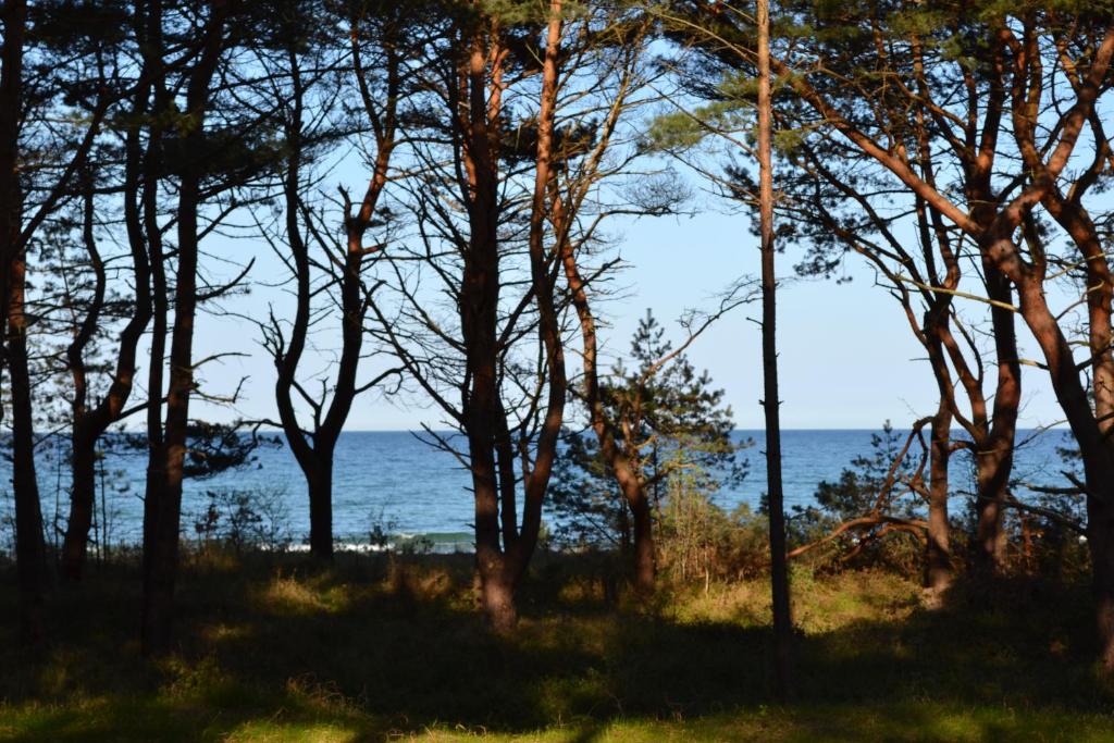 Arkona-Meeresblick am Prorer Wiek 304 Südstrand, 18609 Binz