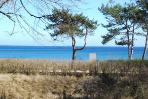 Arkonablick 53