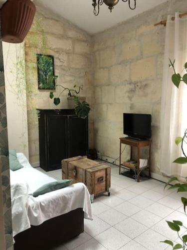 Arles : maison provençale aux arènes.