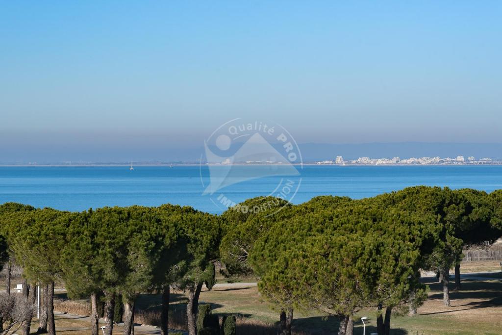 AS11848- P2 Cabine vue sur la mer avec belle terrasse Résidence \, 30240 Le Grau-du-Roi