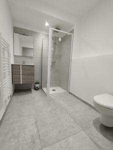 AS22933 - Grand studio Cabine neuf Centre ville