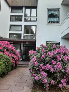 Appartement At the Lichtentaler Allee Apartment Fremresbergstr 35, wohnung 1 76530 Baden-Baden Bade-Wurtemberg