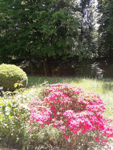 At the Turgenev Villa Apartment