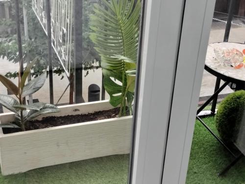 Ático en esquina rodeado de terrazas todo exterior