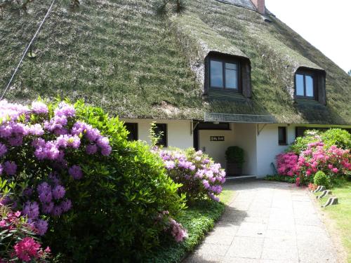 Atrium-Anlage Reethaus Hallig Oland Hygge