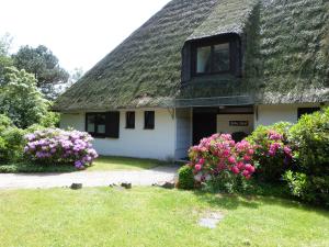 Atrium-Anlage Reethaus Hallig Oland Hygge
