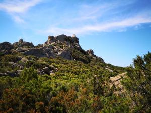 Appartement Au cœur de l alta rocca Route de carbini 20170 Levie Corse