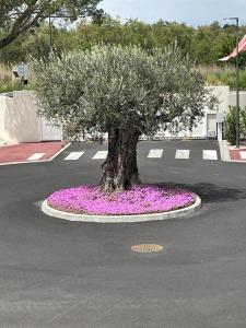 Au cœur du Golf, appartement neuf vue golf et piscine